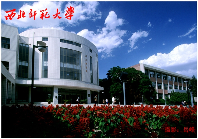 专题栏目